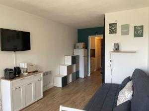 un soggiorno con divano e TV a schermo piatto di Cosy studio 25 m2 orienté sud entièrement rénové a Prénatier