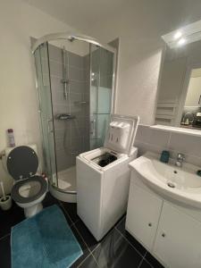 un bagno con doccia, WC e lavandino di Cosy studio 25 m2 orienté sud entièrement rénové a Prénatier Altre 13 foto