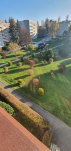 a garden with bushes and trees in a city at Apartament Roanta in Polanica-Zdrój