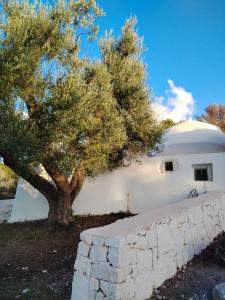 a white building with a tree in front of it at Trullo Amedee in Ostuni