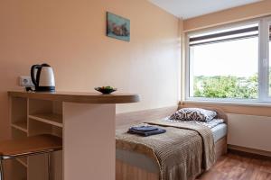 a room with a bed and a desk and a window at Studio Apartment in Kaunas