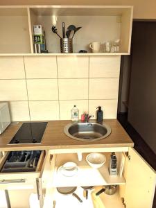 a small kitchen with a sink and a stove at Studio Apartment in Kaunas