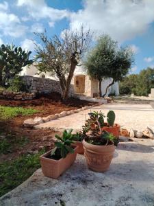 a group of potted plants sitting on a sidewalk at Trullo Amedee in Ostuni