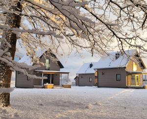 a house with snow on the branches of a tree at Dębowisko Sasino in Sasino