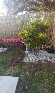 a garden with potted plants and a fence at Fynbos Single Stay in Langebaan