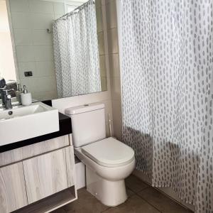 a bathroom with a toilet and a sink and a shower at Departamento Av Los Pescadores in Coquimbo