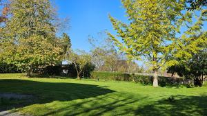 a field of green grass with trees in the background at Maison d'hôtes MOURENIA Aroue in Aroue +22 photos