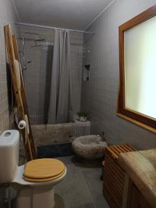 ein Badezimmer mit einem WC, einer Dusche und einer Badewanne in der Unterkunft Casa tapada da branda in Monção + 40 Fotos