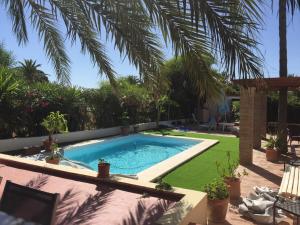 a swimming pool in a yard with a palm tree at CHALET en la PLAYA CON PISCINA in Marbella