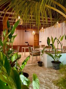 Zahrada ubytování Oasis Dhigurah