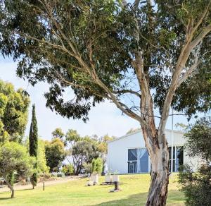 a tree in front of a white building at Hilltop Riverview Retreat in Clayton Bay