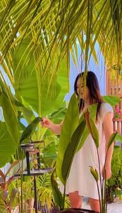 Hosté ubytování Oasis Dhigurah