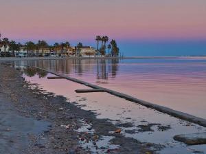 a view of a beach with palm trees and the water at Casa Frijol 20metres from the beach in Los Alcázares