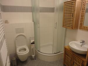 a bathroom with a toilet and a sink at Jakubův Nový Dvůr in Velká Jesenice +10 photos