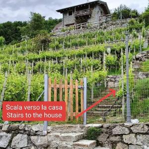 Foto dalla galleria di RUSTICO VIGNA casa vacanze a Civo