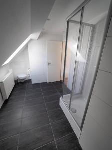 ein Badezimmer mit Dusche und Toilette in der Unterkunft Hotel Delphi in Heidenheim