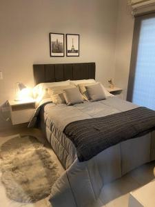 a bedroom with a large bed with a lamp and a rug at Micro ensueño in Godoy Cruz