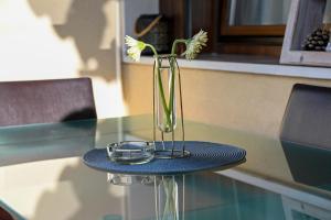 Fotografie z fotogalerie ubytování Angel Home v destinaci Quarto dʼAltino