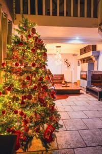 Fotografie z fotogalerie ubytování Gîte la casa del cookie v destinaci Chimay