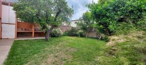 a yard with a tree and a building at alojateenazul2024 in Azul