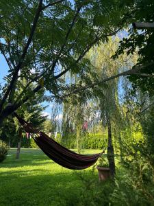 una hamaca colgando de un árbol en un parque en Green House, en Kvareli