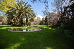 a small pond in a park with a palm tree at Escape al bosque! - Casa Vintage in San Luis