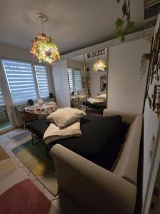 a living room with a bed and a couch at Zentrales Apartment nähe Dom 5 Haltestellen bis Kölnmesse in Cologne