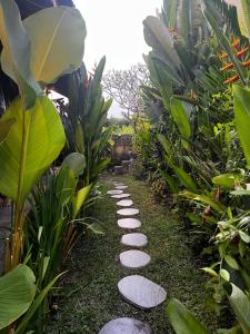Giardino di Di Kubu YR