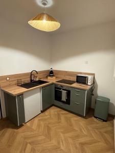 Kuchyň nebo kuchyňský kout v ubytování T1 Bis au centre historique