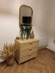 TV a/nebo společenská místnost v ubytování T1 Bis au centre historique