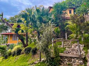 a house on top of a hill with palm trees at Casa Alemán in Flores