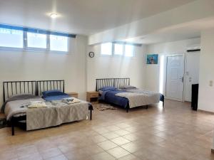 a bedroom with two beds in a room at Villa Maritsá in Pastida +52 photos