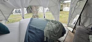 a bedroom in a tent with a bed in it at Central Hostel San Sebastian in Antigua Guatemala