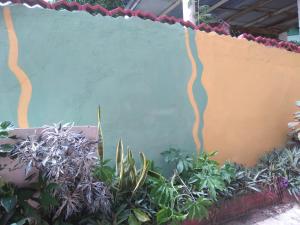 A garden outside Cocoa Cabana