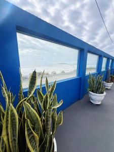 a blue wall with potted plants in front of the ocean at Pé na areia Apto Bianca in Itapoa