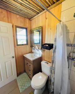 a small bathroom with a toilet and a sink at Cabaña en Santo domingo, Humedal el Yali in Colegio de Bucalemu