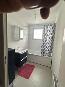 a bathroom with a sink and a bath tub at Appart Orleans Gare in Orléans +20 photos