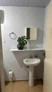a bathroom with a sink and a potted plant at Apto 27 Flamingo in Pato Branco