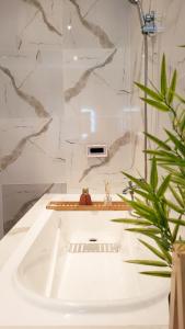 a white bathroom with a sink and a plant at Sublime appartement OCEAN BELAPPART - non loin de la plage in Pointe-Noire