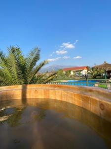 a pool of water with a palm tree in the background at Escapada romántica de día con tinaja caliente opcional in Pirque