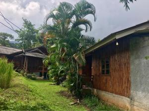 a palm tree in front of a house at Mukakee 3-4 in Ban Sop Mae Klang