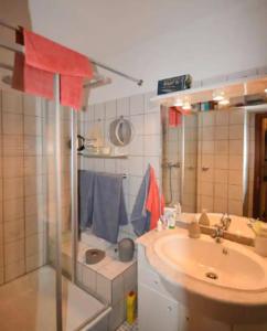 Et badeværelse på Wohnung in Hahnenklee Goslar