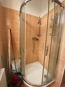 una ducha con puerta de cristal en un baño en Apartments Zahradní, en Karlovy Vary
