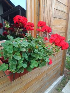 Giardino di Kuća za odmor Kekec Fruška gora