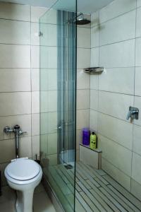 开普敦Centurion 207 Luxury Sea Point one bedroom apartment with access to magnificent pool Perfect location by Super Host Melvyn的带马桶和玻璃淋浴间的浴室