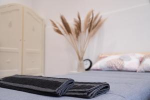 Gallery image of City Center Cozy Apartment in Novi Sad