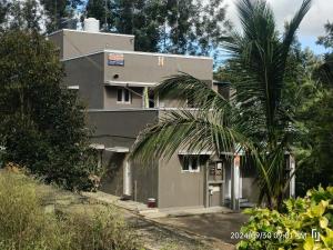 a gray house with a palm tree in front of it at BNS Village Resort in Kolli Hills