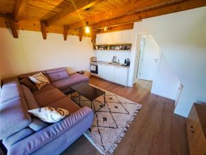 ein Wohnzimmer mit Sofa und eine Küche in der Unterkunft Forest House Bukva in Ravne