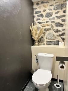 Ένα μπάνιο στο Maison rénovée haut de gamme de centre-ville +10 φωτογραφίες