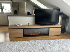 a tv sitting on top of a fireplace in a living room at Helles, modernes Appartement in Nuremberg